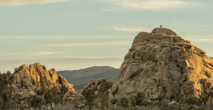 Joshua Trees Hidden Valley Self-Guided Walking Audio Tour - Booking Information
