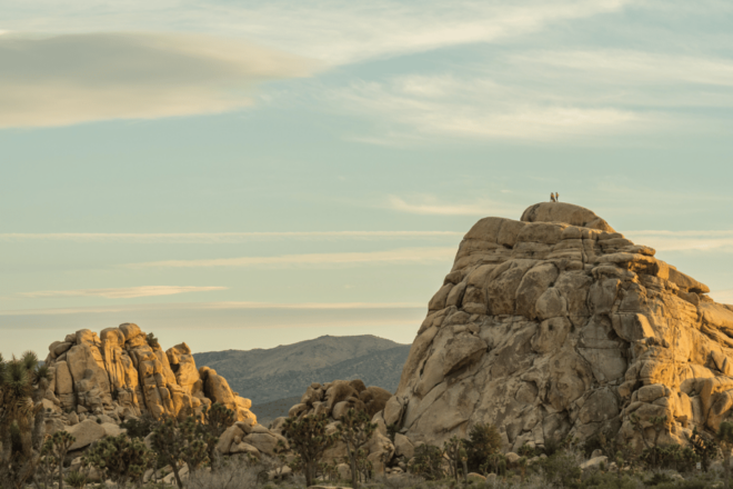 Joshua Trees Hidden Valley Self-Guided Walking Audio Tour - Tour Highlights