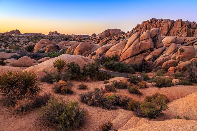 Joshua Tree's Hidden Valley Self-Guided Walking Tour - Final Thoughts: Is It Right for You?