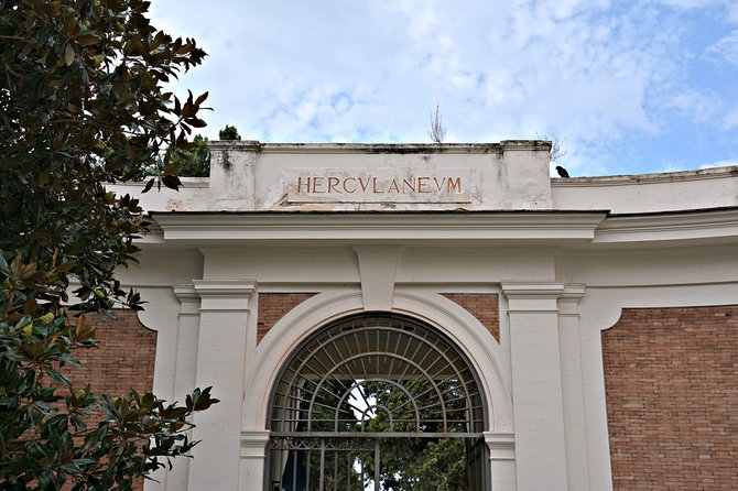 Journey From the Herculaneum Ruins to the Mt. Vesuvius Private Tour From Naples - Tour Highlights