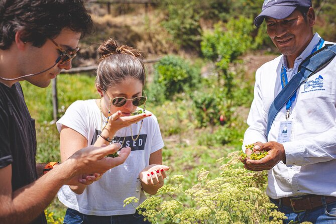 Journey in Cusco - Adventure and Outdoor Activities in Cusco