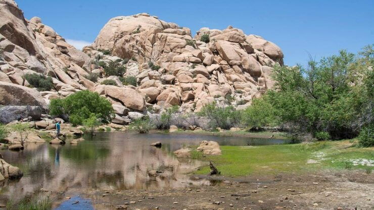 Journey Into Joshua Tree: Audio Driving Tour and Local Guide - Tour Experience