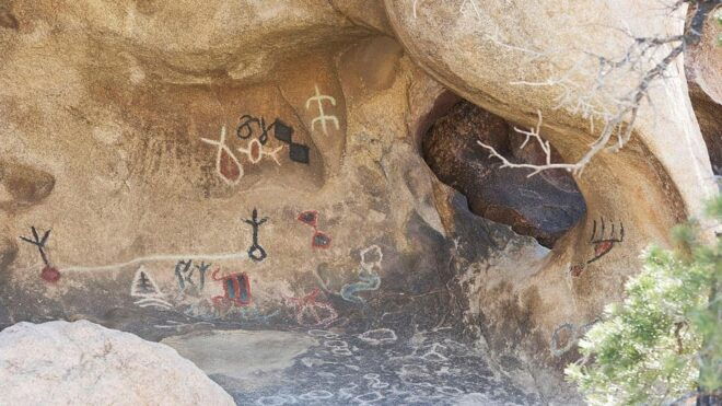 Journey Into Joshua Tree: Audio Driving Tour and Local Guide - Preparation and Requirements