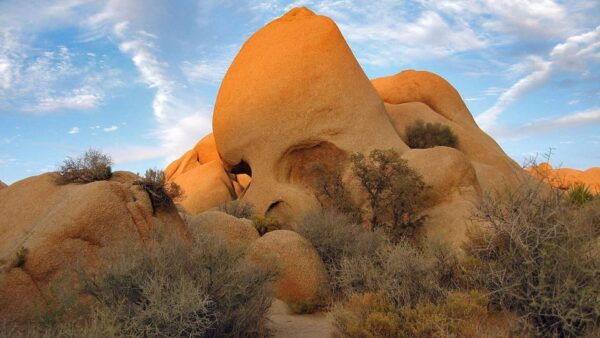 Journey Into Joshua Tree: Audio Driving Tour and Local Guide - Scenic Drives and Attractions