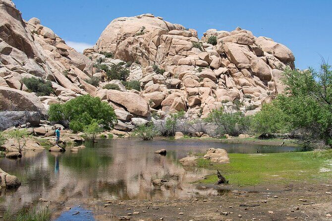 Journey into Joshua Tree Audio Tour and Locals Guide - What is the Journey into Joshua Tree Audio Tour?