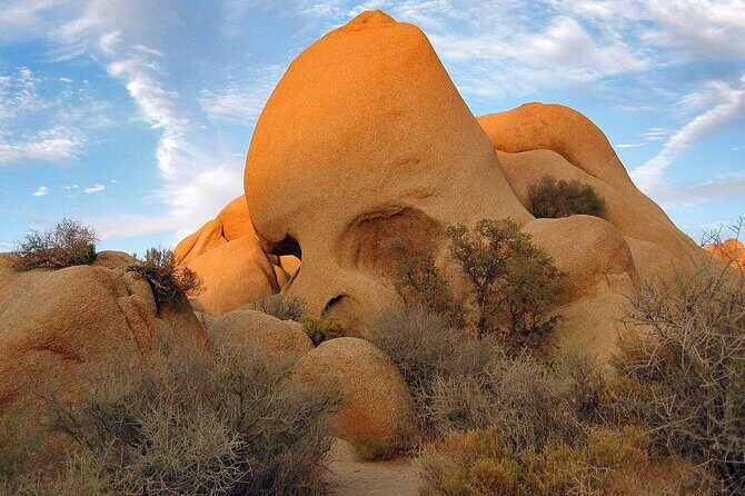 Journey into Joshua Tree Audio Tour and Locals Guide - The Value for Your Money