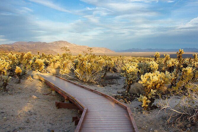 Journey into Joshua Tree Audio Tour and Locals Guide - Who Would Love This?