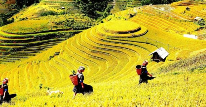 Journey Through Sapa Terraces & Traditions - Traditional Culinary Experience