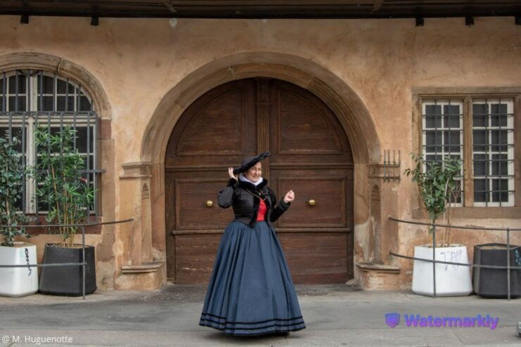 Journey Through the Rhineland Renaissance in Strasbourg - Tour Experience