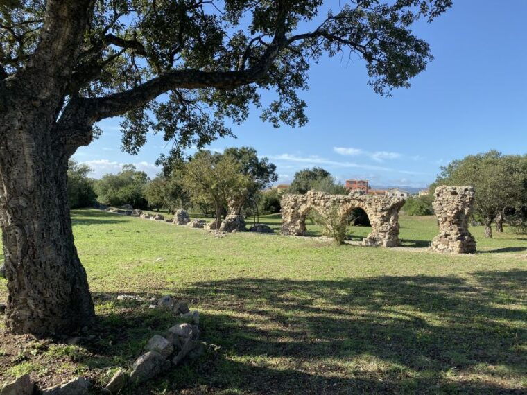 Journey Through Time - Discover Sardinias Ancient Treasures - Transportation Options