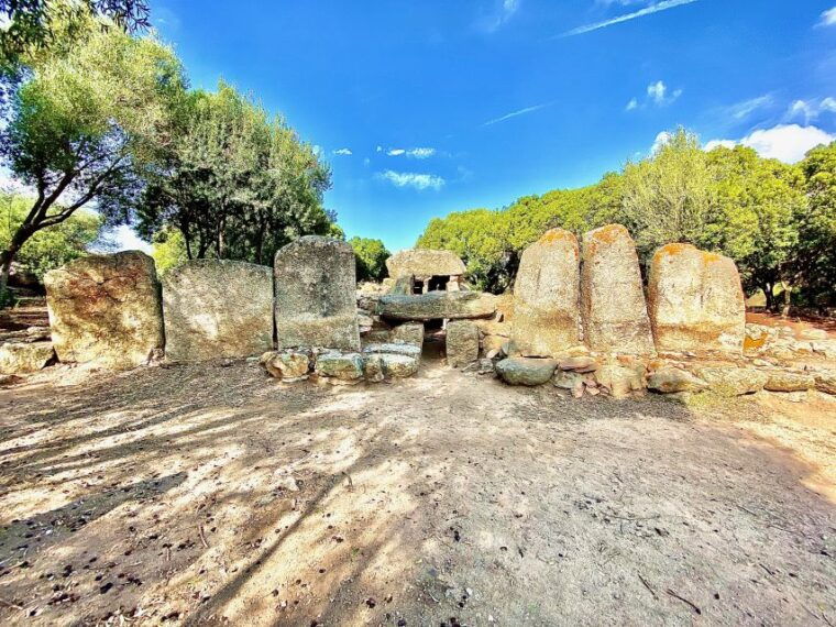 Journey Through Time - Discover Sardinias Ancient Treasures - Meeting Point and Guidelines