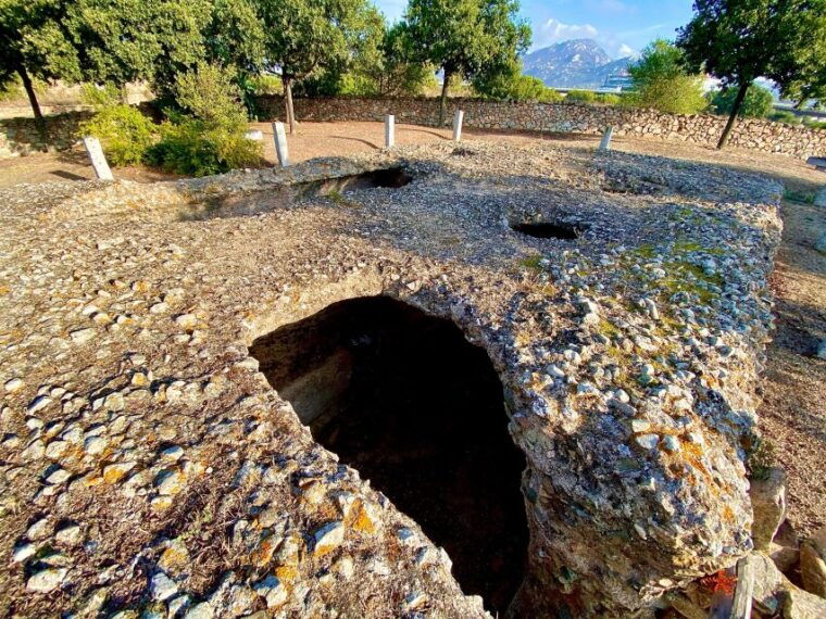 Journey Through Time - Discover Sardinias Ancient Treasures - What to Expect During the Tour