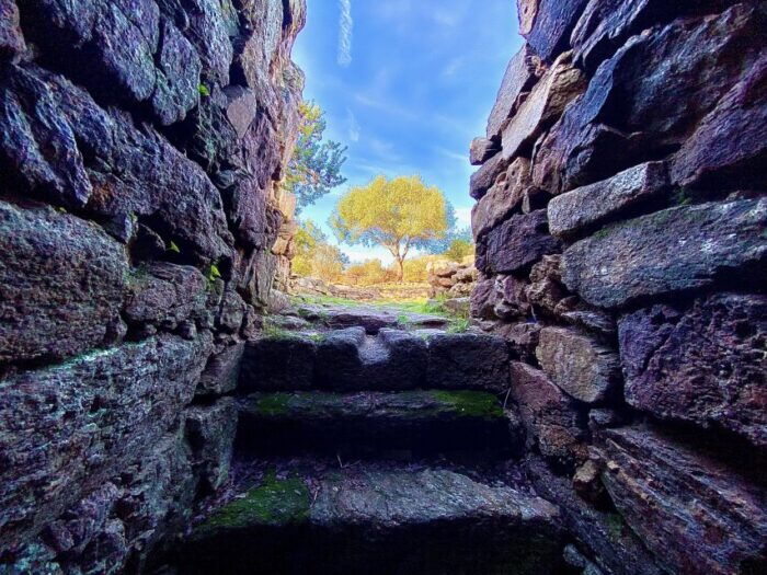 Journey Through Time - Discover Sardinias Ancient Treasures - Customer Feedback and Ratings