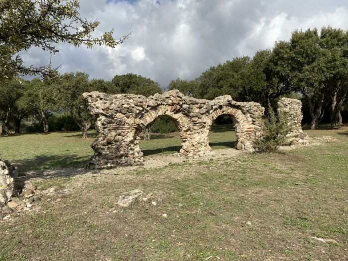 Journey Through Time - Discover Sardinias Ancient Treasures - Additional Services and Customization Options