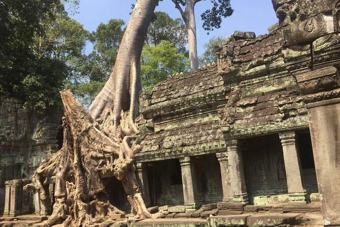 Journey Through Time: Grand Tours With Professional Photographers - Tour Inclusions