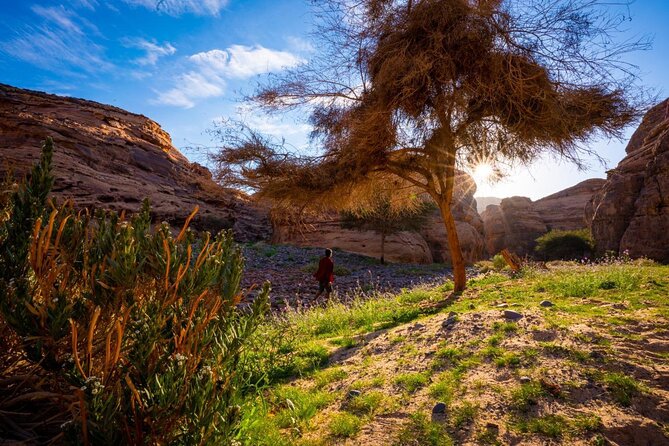 Journey Through Time Hike - Booking and Reservations