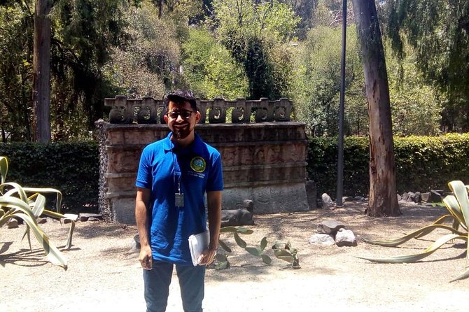 Journey Through Time: Unveiling Mexicos Ancient Cultures - Maya Civilization: Mysteries of the Rainforest