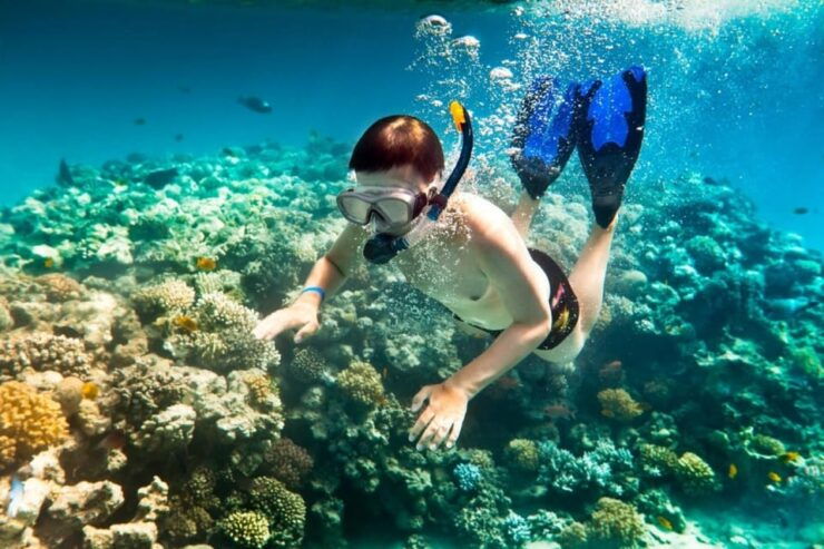 Journey to Cham Island: Explore, Snorkel, and Indulge - Good To Know