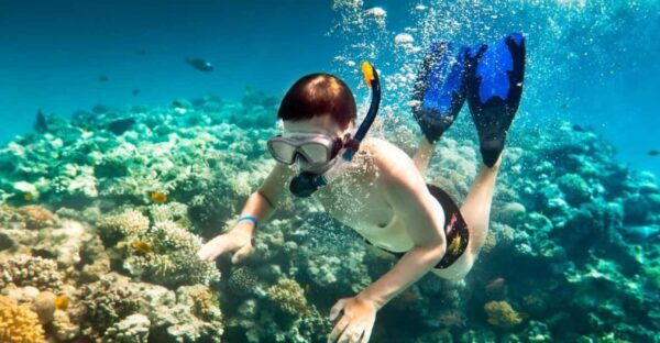 Journey to Cham Island: Explore, Snorkel, and Indulge - Customer Experiences