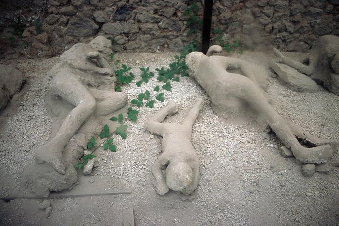 Journey to Discover the Roman Pompeii Strolling Among the Ancient Domus - Inclusions and Exclusions