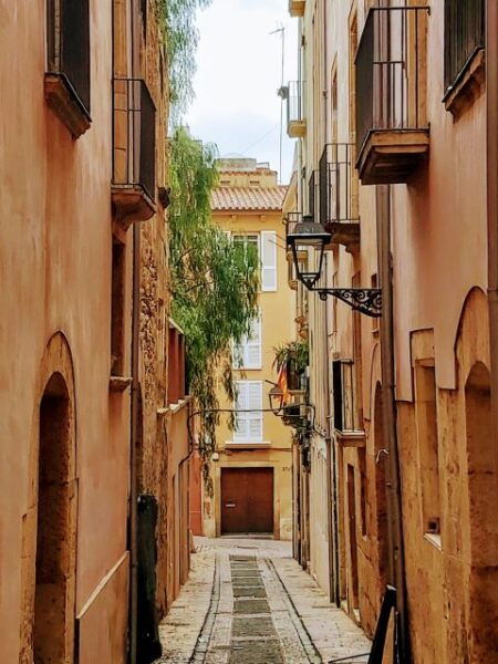 Journey to the Past: the Roman Tarraco and Old Town - Practical Information and Booking Details