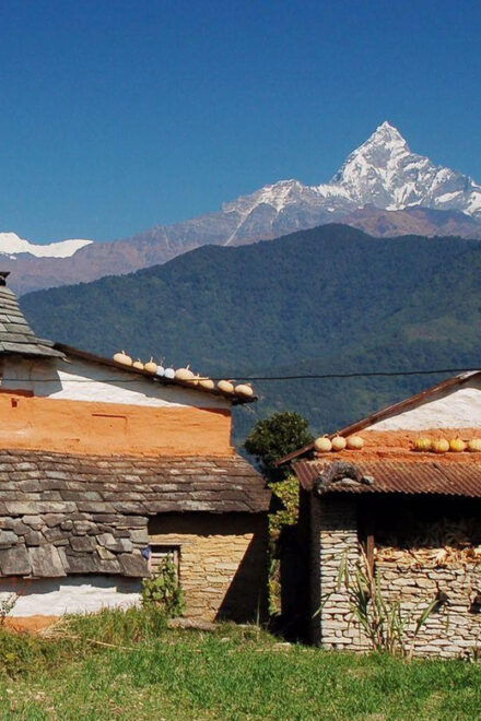 Journey to Tranquillity: 3 Days Panchase Trek From Pokhara - Questions You May Have