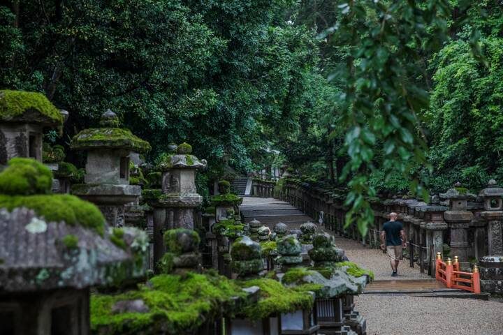 Journeys: Iconic Japan National Geographic 12-Day Tour - Miyajima and Himeji bring a change of mood