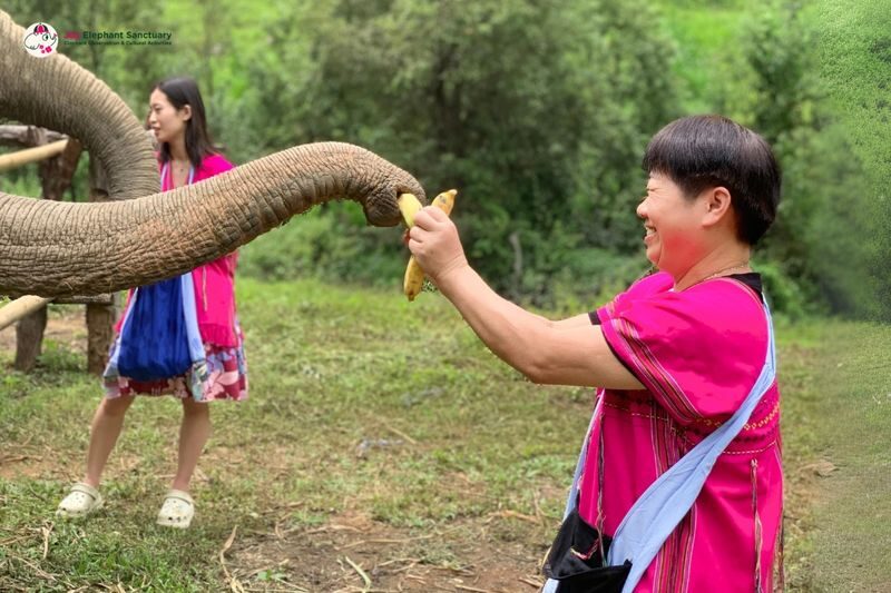 Joy Elephant Sanctuary Chiang Mai Observation and Activity Combo - Forest time, not elephant tricks