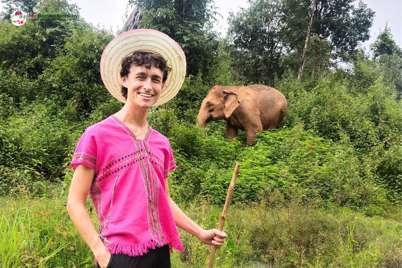 Joy Elephant Sanctuary Chiang Mai Observation and Activity Combo - Three hours at the sanctuary