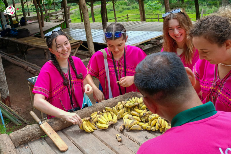 Joy Elephant Sanctuary Chiang Mai Observation and Activity Combo - Choosing a combo that fits your day