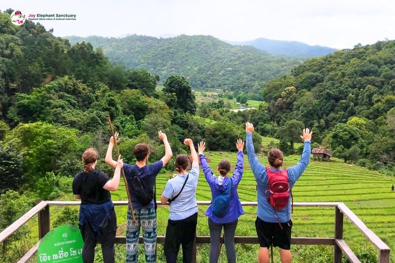 Joy Elephant Sanctuary Chiang Mai Observation and Activity Combo - Who is likely to enjoy it
