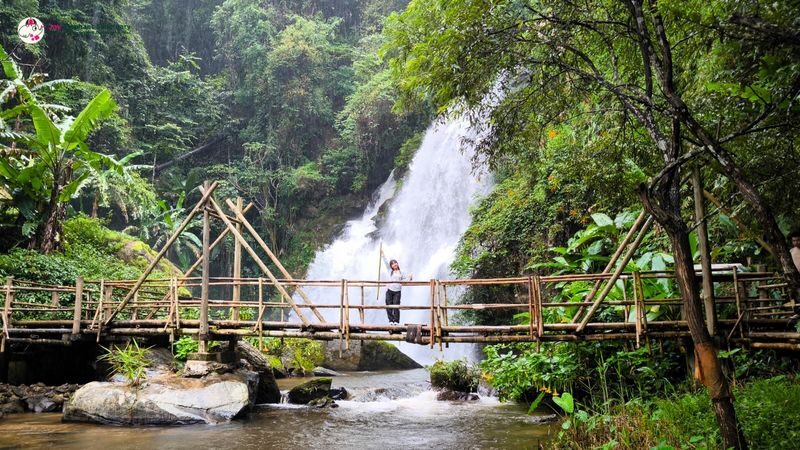 Joy Elephant Sanctuary Chiang Mai Observation and Activity Combo - What to pack and how to prepare
