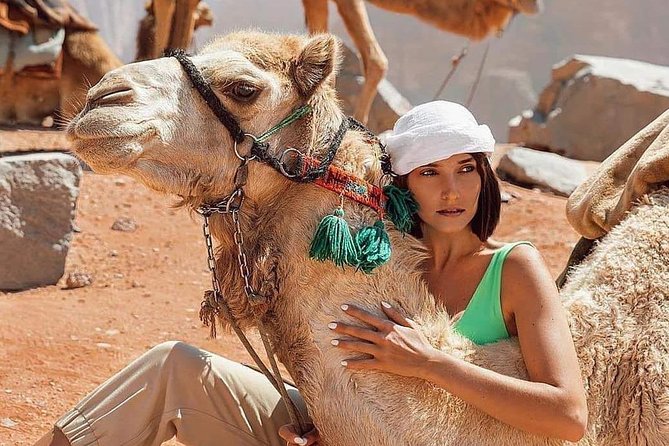 Joyful Roads: Dead Sea - Petra - Pickup Options