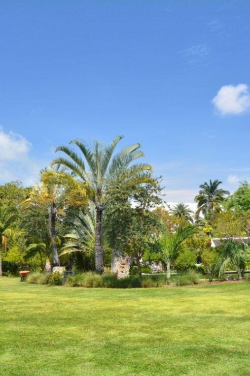 Joys of Miami Family Walking Tour - Tour Highlights