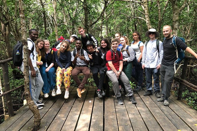 Jozan Forest Tour - Forest Exploration