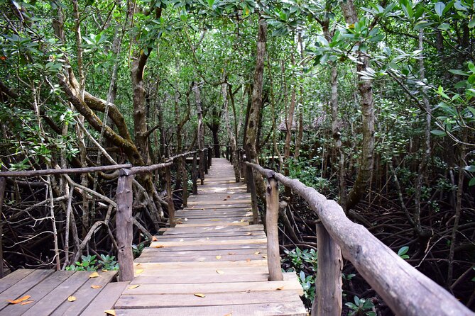 Jozani Forest Tour - Additional Information