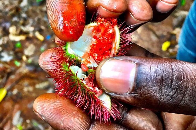 Jozani Forest Tour, Spice Tour, Secret Garden, Stone Town, Emerson Restaurant - Cancellation Policy