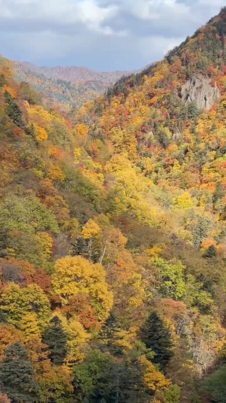 Jozankei, Hoheikyo Dam & Takino Suzuran Hillside Park Day Tour (Includes Lunch) - Key points to know before you book