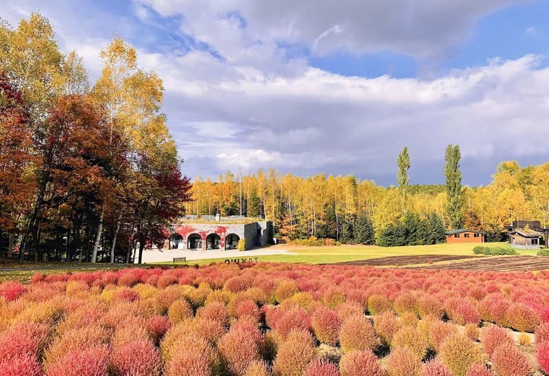 Jozankei, Hoheikyo Dam & Takino Suzuran Hillside Park Day Tour (Includes Lunch) - Takino Suzuran Hillside Park: flowers, foliage and timing