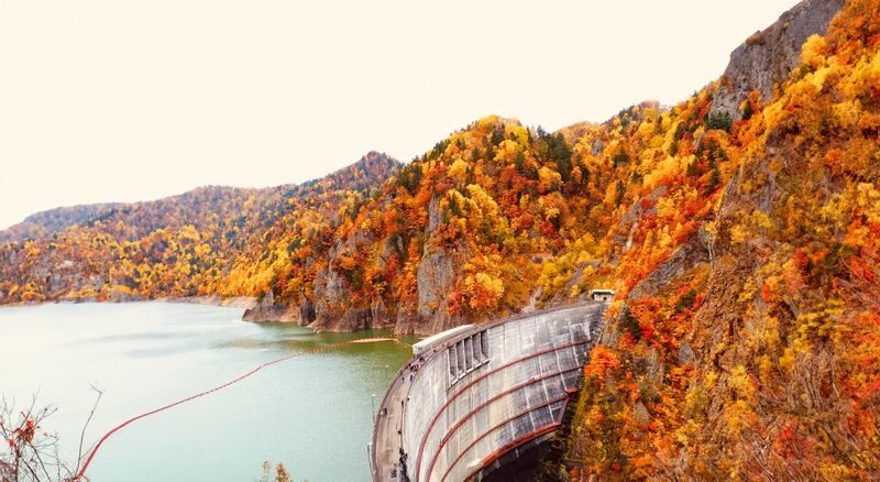Jozankei, Hoheikyo Dam & Takino Suzuran Hillside Park Day Tour (Includes Lunch) - Who should choose this day tour?