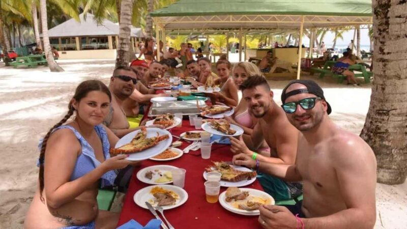 Juan Dolio: Saona Island Day Trip with Lunch & Open Bar - Introduction