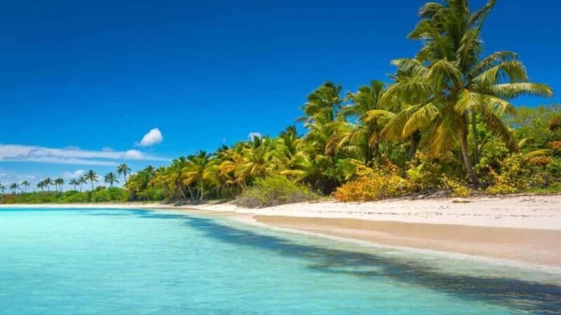 Juan Dolio: Saona Island Day Trip with Lunch & Open Bar - Transport, Timing, and Practicalities