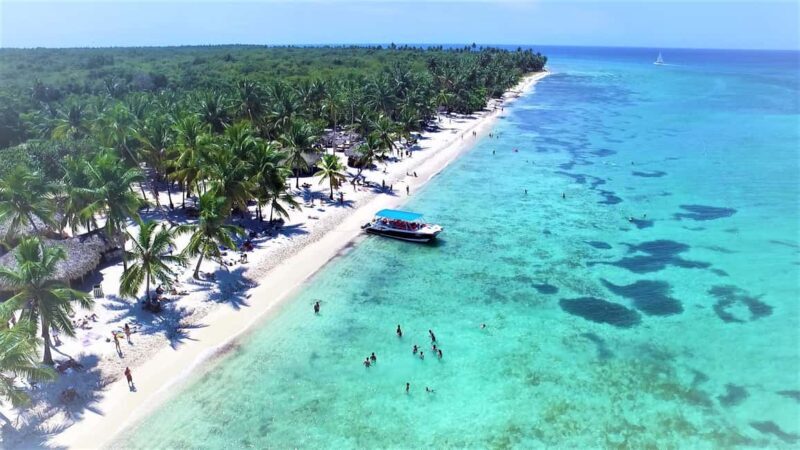 Juan Dolio: Saona Island Full-Day Tour with Catamaran Ride - The Sum Up