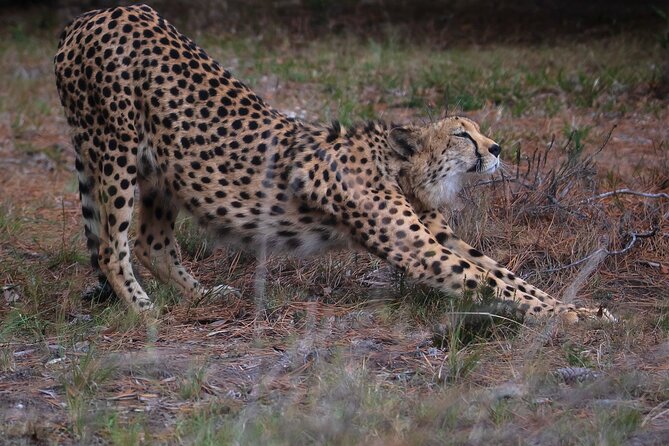 Jukani Wildlife Sanctuary Admission With Guided Tour - Traveler Reviews