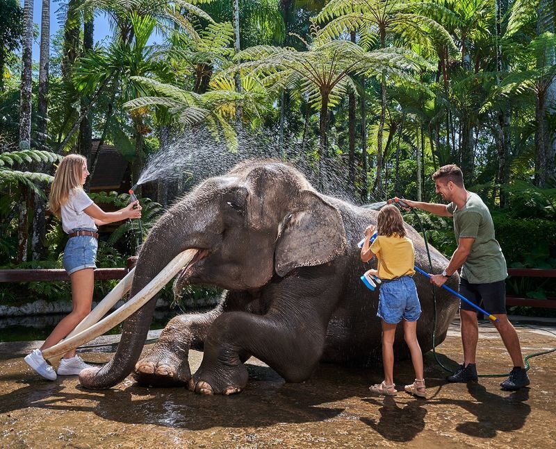 Jumbo Wash Experience at Mason Elephant Park in Bali - The ride from your hotel to Gianyar