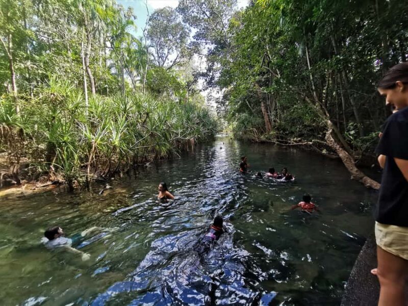 Jumping Croc Cruise, Berry Springs,Fogg Dam & Humpty Doo Pub - An In-Depth Look at the Tour Experience