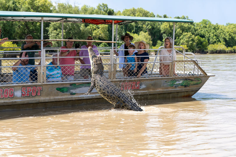 Jumping Crocodile Cruise Half Day Tour - From Darwin to the Marrakai wetlands