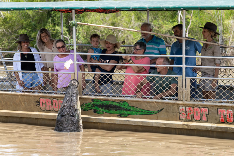 Jumping Crocodile Cruise Half Day Tour - What to bring for a tropical morning