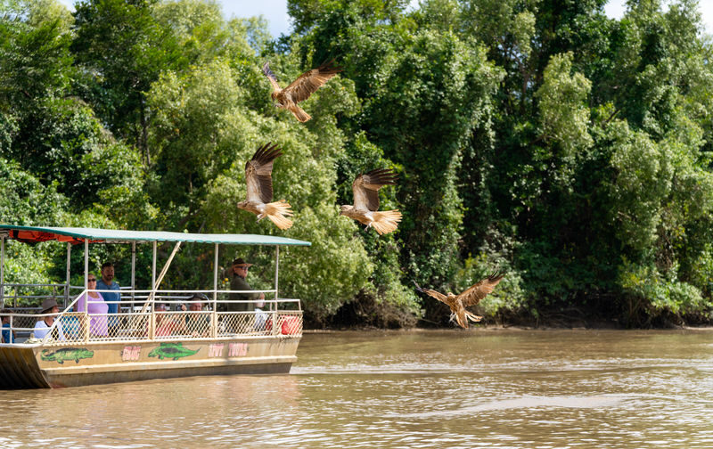 Jumping Crocodile Cruise Half Day Tour - Who will get the most from this trip