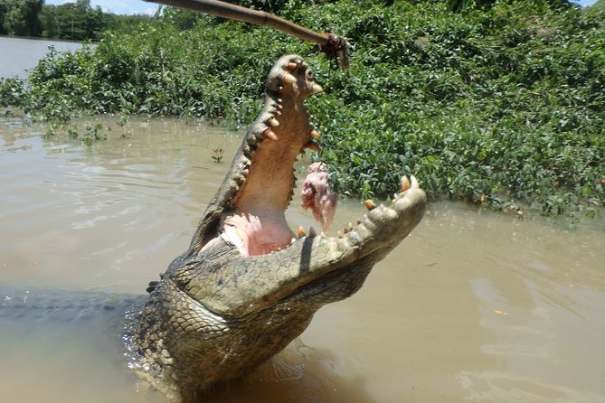 Jumping Crocodile Cruise With Lunch - Tour Overview and Highlights